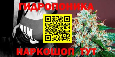 ПСИЛОЦИБИНОВЫЕ ГРИБЫ Тверь