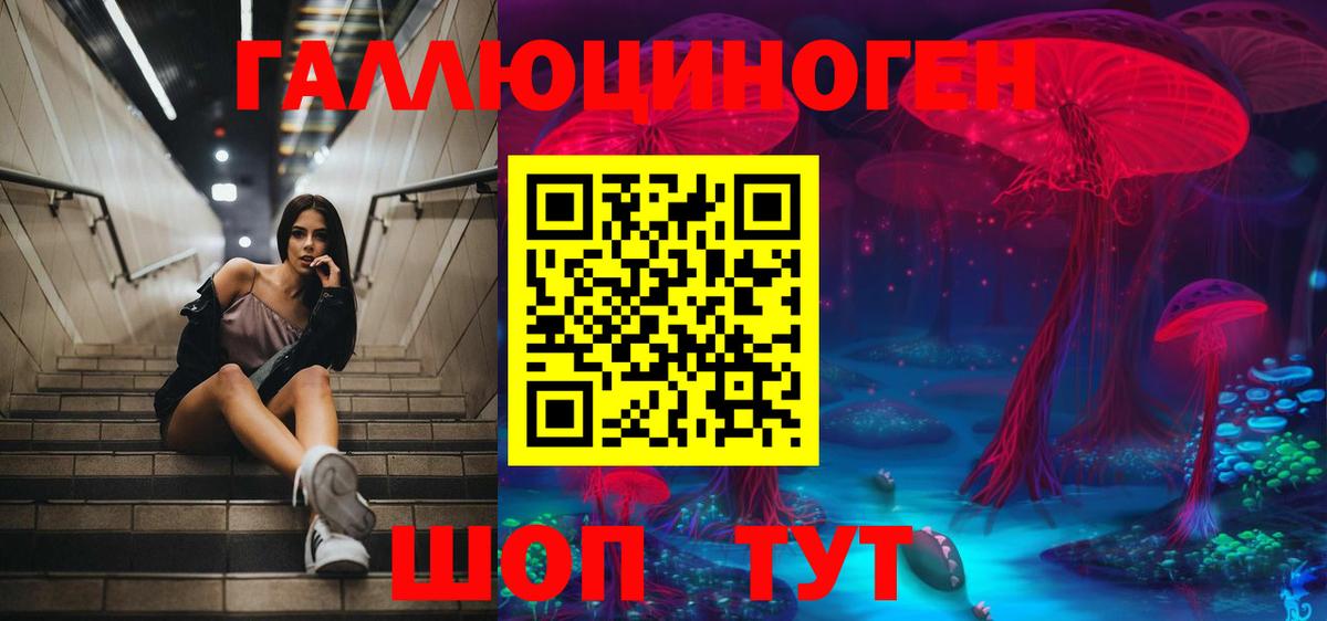 Псилоцибиновые грибы мицелий Мурино