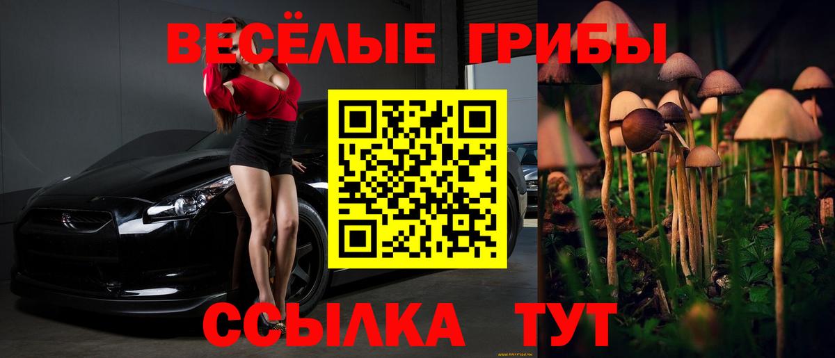 дарнет шоп  Вход с VPN  Мурино  Галлюциногенные грибы MAGIC MUSHROOMS 